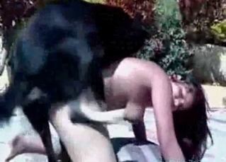 Awesome sex of a busty babe and a doggy