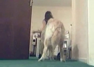 Amateur chick is enjoying dog bestiality