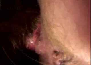 Close-up bestiality available for free